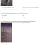Quiz  Worksheet  Soil Profile  Study Intended For Soil Formation Worksheet