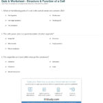 Quiz  Worksheet  Structure  Function Of A Cell  Study For Cell Structure And Function Worksheet
