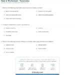 Quiz  Worksheet  Taxonomy  Study Or Taxonomy Worksheet Biology Answers