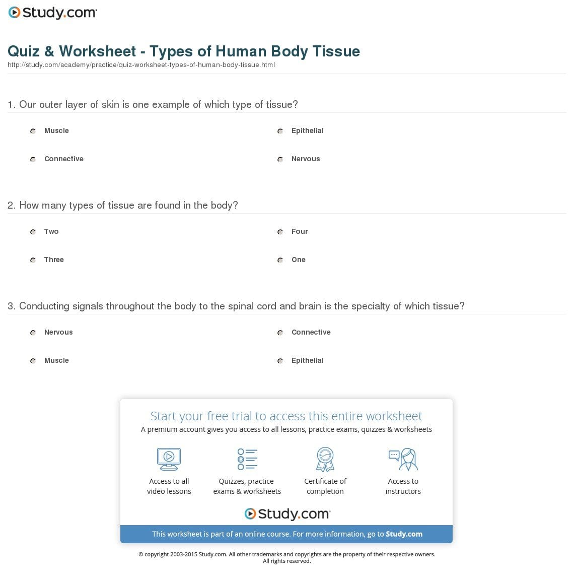 Quiz  Worksheet  Types Of Human Body Tissue  Study Within Body Tissues Worksheet
