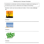 Reading Worksheets  Inference Worksheets Together With Inferences Worksheet 2 Answers
