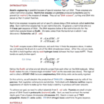 Recombinant Dna Simulation Name In Genetic Engineering Simulations Worksheet Answers