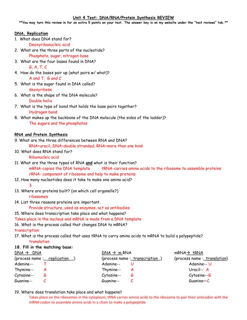 Rna And Protein Synthesis As Well As Dna And Rna Structure Worksheet Answer Key