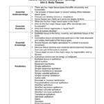 Science Honors Human Anatomy And Physiology Unit 2 Body Tissues Inside Body Tissues Worksheet