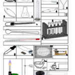 Science Lab Equipment  Interactive Worksheet And Lab Equipment Worksheet
