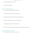Science Of Decay Together With Afterlife The Strange Science Of Decay Worksheet Answer Key