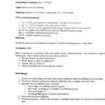 Science Skills In Graphing And Analyzing Scientific Data Worksheet Answer Key