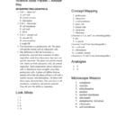 Science Skills Packet – Answer Key With Regard To Interpreting Graphics Worksheet Answers Biology