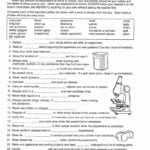 Scientific Method Worksheet High School  Briefencounters Along With Scientific Method Worksheet High School