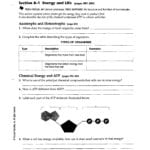 Section 8 1 Energy And Life Worksheet Answer Key Transcription And Regarding Section 8 1 Energy And Life Worksheet Answer Key