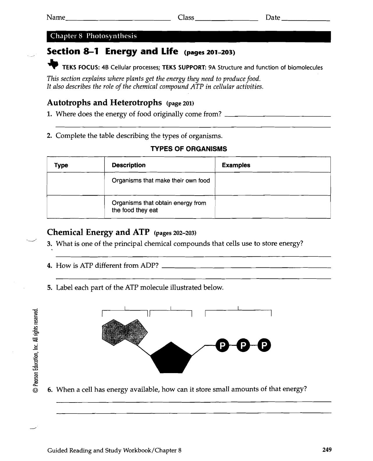 Section 8 1 Energy And Life Worksheet Answer Key Transcription And Regarding Section 8 1 Energy And Life Worksheet Answer Key