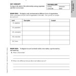 Section Ecologists Study Relationships 131 Study Guide Pages 1  34 Inside Population Community And Ecosystem Worksheet Answer Key