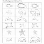 Size Worksheets  Bigger Smaller Or The Same Size Pertaining To Positional Words Worksheets