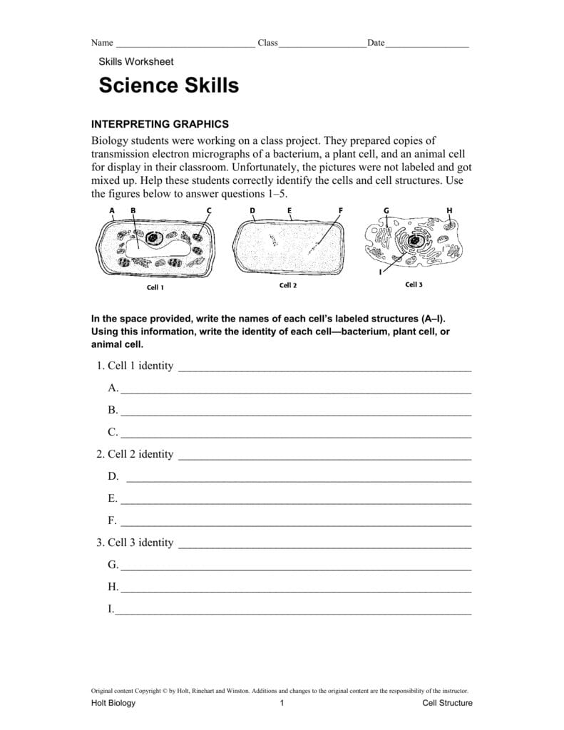 Skills Worksheet For Science Skills Worksheet Answers Biology