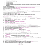Snurfle Meiosis Worksheet Within Dna Interactive Worksheet Answer Key