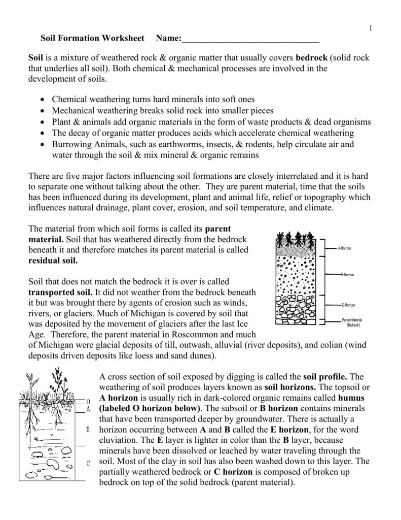 Soil Formation Worksheet For Soil Formation Worksheet