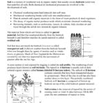 Soil Formation Worksheet Together With Soil Formation Worksheet