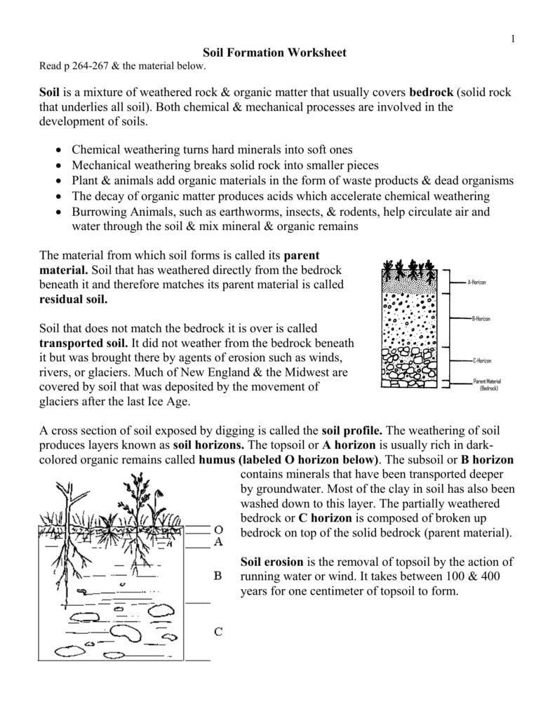 Soil Formation Worksheet Together With Soil Formation Worksheet