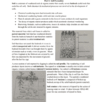 Soil Worksheet  Mrs Blanks Apes With Soil Formation Worksheet