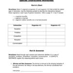 Species Interactions Worksheet  Fill Online Printable Fillable For Species Interactions Worksheet Answers