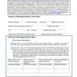 State Of Colorado Child Support Worksheet The Best Worksheets Image For Colorado Child Support Worksheet