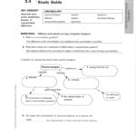 Study Guide  Science With Ms Ortiz Inside Passive Transport Worksheet Answers