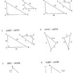 Stunning 6Th Grade Common Core Math Worksheets Printable Word For 6Th Grade Common Core Math Worksheets