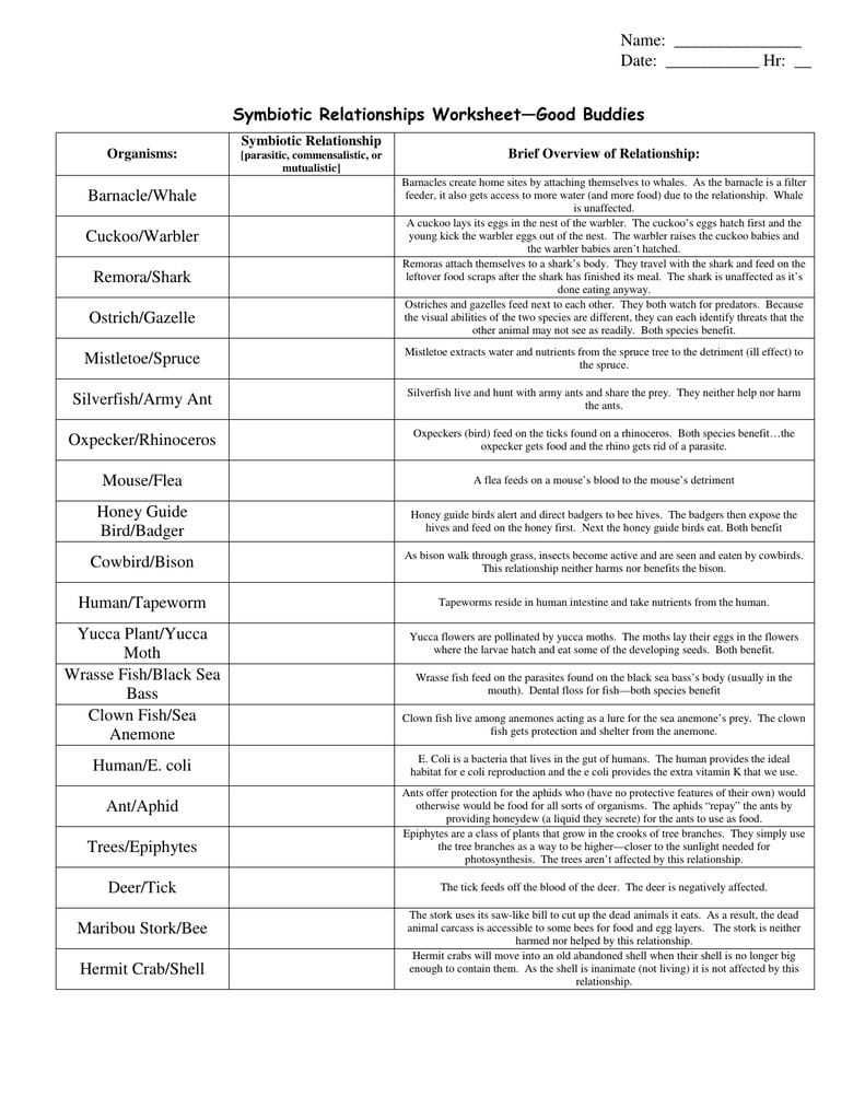 Symbiotic Relationships Worksheet—Good Buddies Barnaclewhale Or Good Buddies Activity Worksheet Answers
