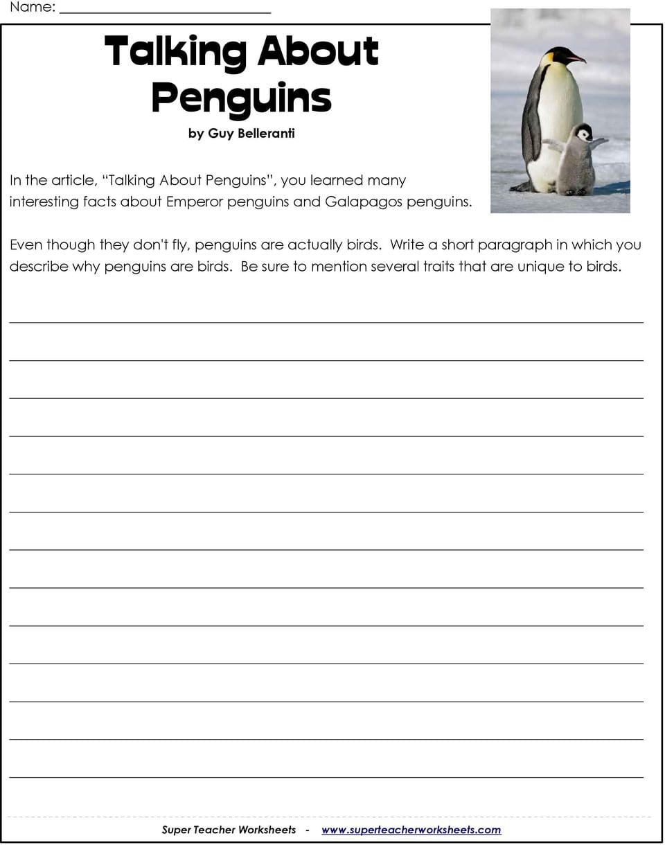 Talking About Penguinsguy Belleranti  Pdf Regarding Facts About Birds Worksheet