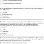 Text Structure Worksheet Answers  Briefencounters Within 7 2 Cell Structure Worksheet Answer Key