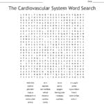 The Cardiovascular System Word Search  Wordmint For Cardiovascular System Worksheet Answers
