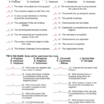 The Cell Cycle Worksheet Together With Mitosis Worksheet Matching
