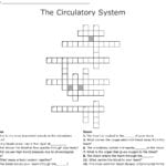 The Circulatory System Crossword  Wordmint With Regard To Cardiovascular System Worksheet Answers