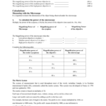 The Compound Microscope And Calculations Or Microscopic Measurement Worksheet