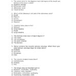 The Digestive System Multiple Choice Questions Or 9 5 Digestion In The Small Intestine Worksheet Answers