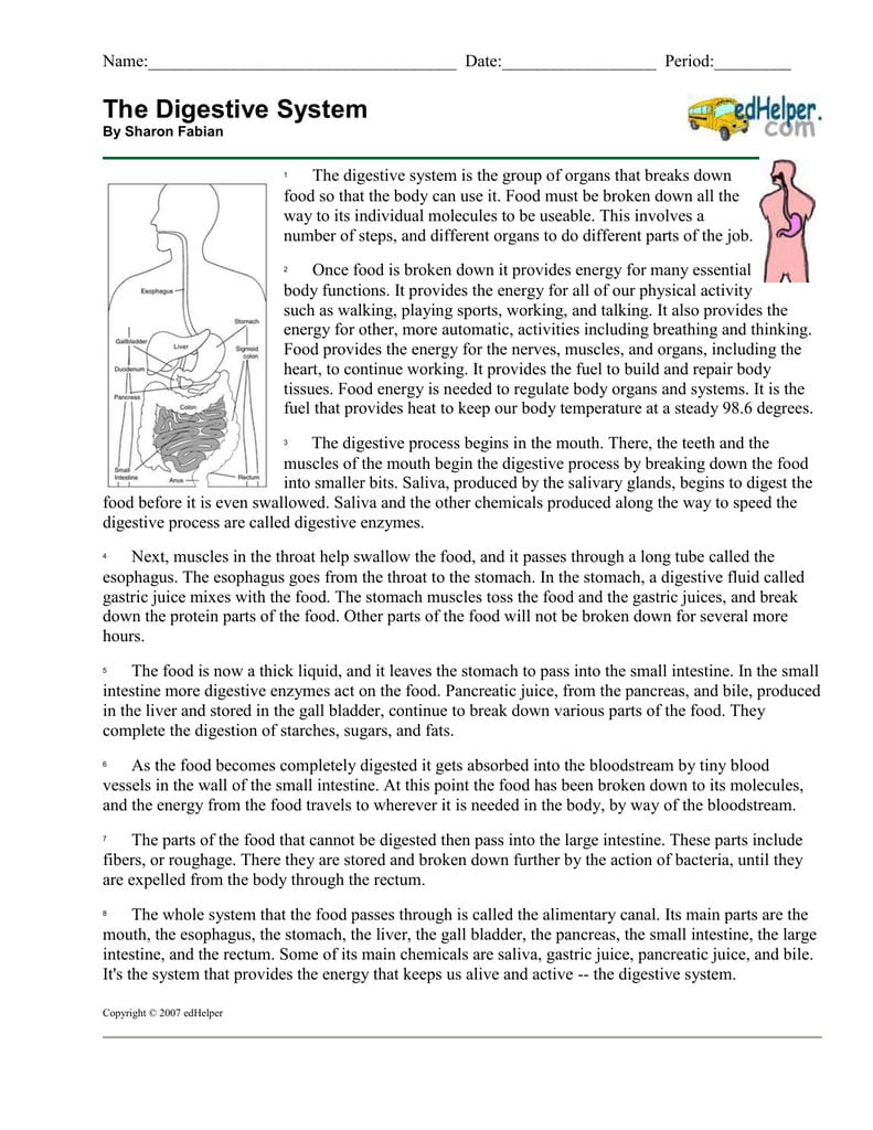 The Digestive System Together With Digestion Worksheet Answer Key