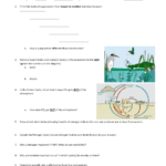 The Ecology Review Worksheet Intended For Ecology Review Worksheet 1