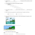 The Great Big Ecology Review Worksheet Or Ecology Review Worksheet 1