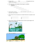 The Great Big Ecology Review Worksheet With Regard To Ecology Review Worksheet 1