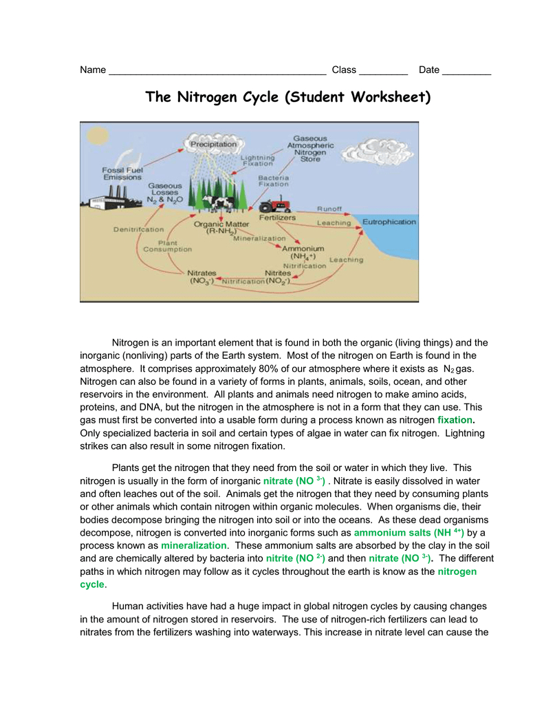 The Nitrogen Cycle Student Worksheet As Well As Nitrogen Cycle Worksheet