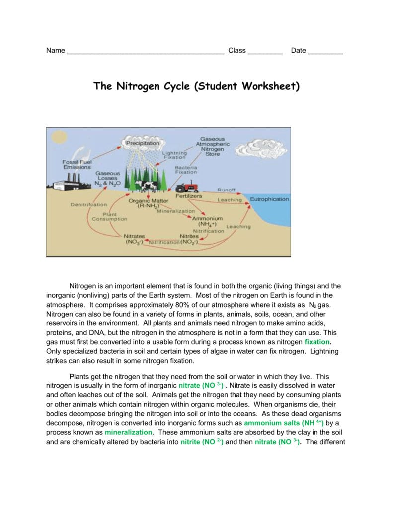 The Nitrogen Cycle Student Worksheet Or The Nitrogen Cycle Student Worksheet Answers