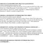 The Practice Of Peptide Synthesis  Pdf Or Biology Protein Synthesis Review Worksheet Answer Key
