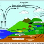 The Water Cycle Diagram Pdf  Wiring Diagrams For Along With Fill In The Blank Water Cycle Diagram Worksheet