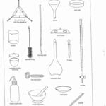 Top 5 Simple Chemistry Lab Equipment Worksheet For Students Intended For Laboratory Equipment Worksheet