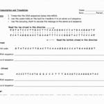 Transcription Translation Worksheet  Yooob Along With Transcription And Translation Practice Worksheet