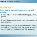 Unit 1 Lesson 3 Population Dynamics  Ppt Download For Population Dynamics Worksheet