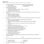 Unit 5 Dna And Genetics Review For Dna Unit Review Worksheet