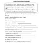 Veterinary Math Worksheets  Briefencounters Also Veterinary Math Worksheets