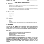 Virtual Bacterial Identification Introduction As Well As Bacterial Identification Lab Worksheet Answers