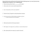 Virtual Lab  Photosynthesis As Well As Photosynthesis Virtual Lab Worksheet Answer Key